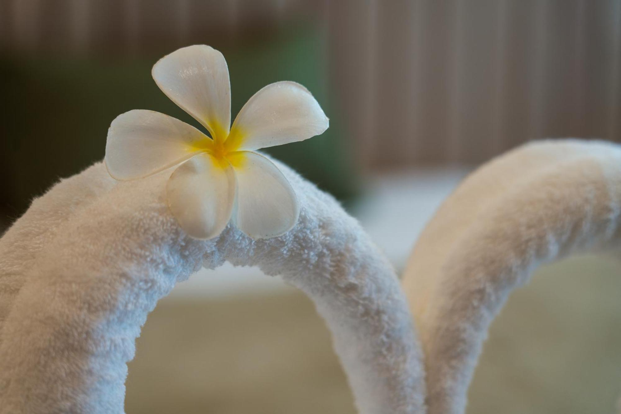 Niranapa Boutique Resort Bãi biển Kata Ngoại thất bức ảnh
